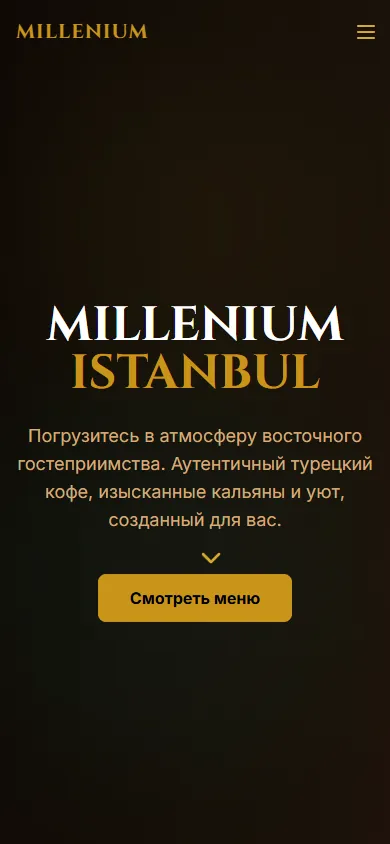 Millenium Istanbul website on a phone